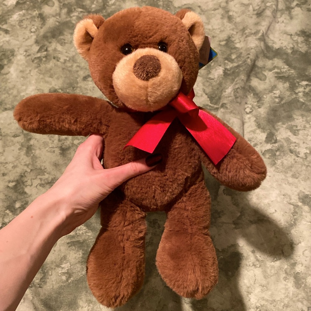 Bear plushie soft from smoke free home NEW